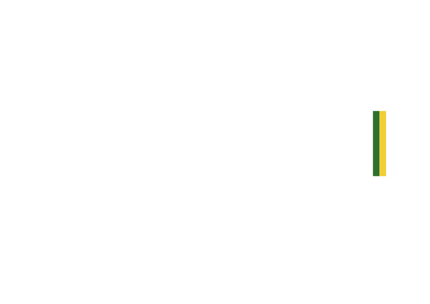 ORLANDI do Brasil